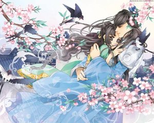 芒果黄app污污
