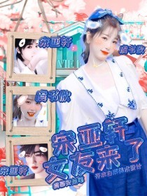 深入了解 蓝导航小鸟导航